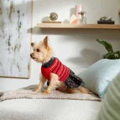 Frisco Chenille Knit Striped Dog & Cat Dress 13 Frisco Chenille Knit Striped Dog & Cat Dress -PetPalace Picks 268668 PT8. AC SS1800 V1629762896