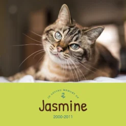 Frisco Personalized "Love" Memorial Marble Trivet, 6" X 6" -PetPalace Picks 268734 PT2. AC SS1800 V1620406027