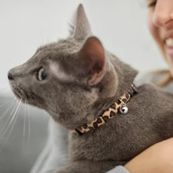 Leopard Print Cat Collar -PetPalace Picks 269496 PT4. AC SS1800 V1617037438