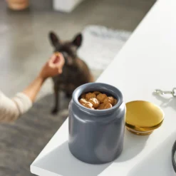 Frisco Modern Gold Rim Ceramic Treat Jar -PetPalace Picks 270190 PT2. AC SS1800 V1620762371