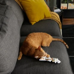 Frisco Halloween Good Witch, Bad Witch Reversible Plush Cat Toy With Catnip -PetPalace Picks 270301 PT3. AC SS1800 V1624824841