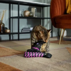 Frisco Halloween Witch Hat & Legs Plush Cat Toy With Catnip, 2 Count -PetPalace Picks 270305 PT3. AC SS1800 V1624817161