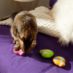 Frisco Colorful Skulls Plush Cat Toy With Catnip, 3 Count -PetPalace Picks 270325 PT3. AC SS1800 V1630350992