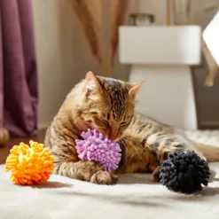 Frisco Halloween Moppy Ball Cat Toy With Catnip 6 Frisco Halloween Moppy Ball Cat Toy With Catnip -PetPalace Picks 270337 PT3. AC SS1800 V1624817812