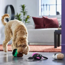 Frisco Halloween Cupcakes Plush Squeaky Dog Toy 7 Frisco Halloween Cupcakes Plush Squeaky Dog Toy -PetPalace Picks 270367 PT3. AC SS1800 V1624817674