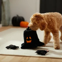 Frisco Halloween Haunted Tree Hide & Seek Puzzle Plush Squeaky Dog Toy -PetPalace Picks 270488 PT3. AC SS1800 V1624817078