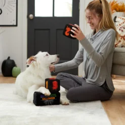 Frisco Halloween 30 Days Of Halloween Countdown Blocks Plush Squeaky Dog Toy -PetPalace Picks 270494 PT3. AC SS1800 V1624817483