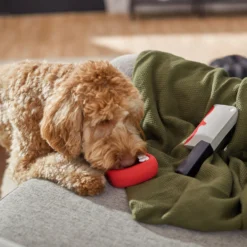 Frisco Halloween Vampire Teeth & Knife Latex Squeaky Dog Toy 6 Frisco Halloween Vampire Teeth & Knife Latex Squeaky Dog Toy -PetPalace Picks 270512 PT3. AC SS1800 V1624817093