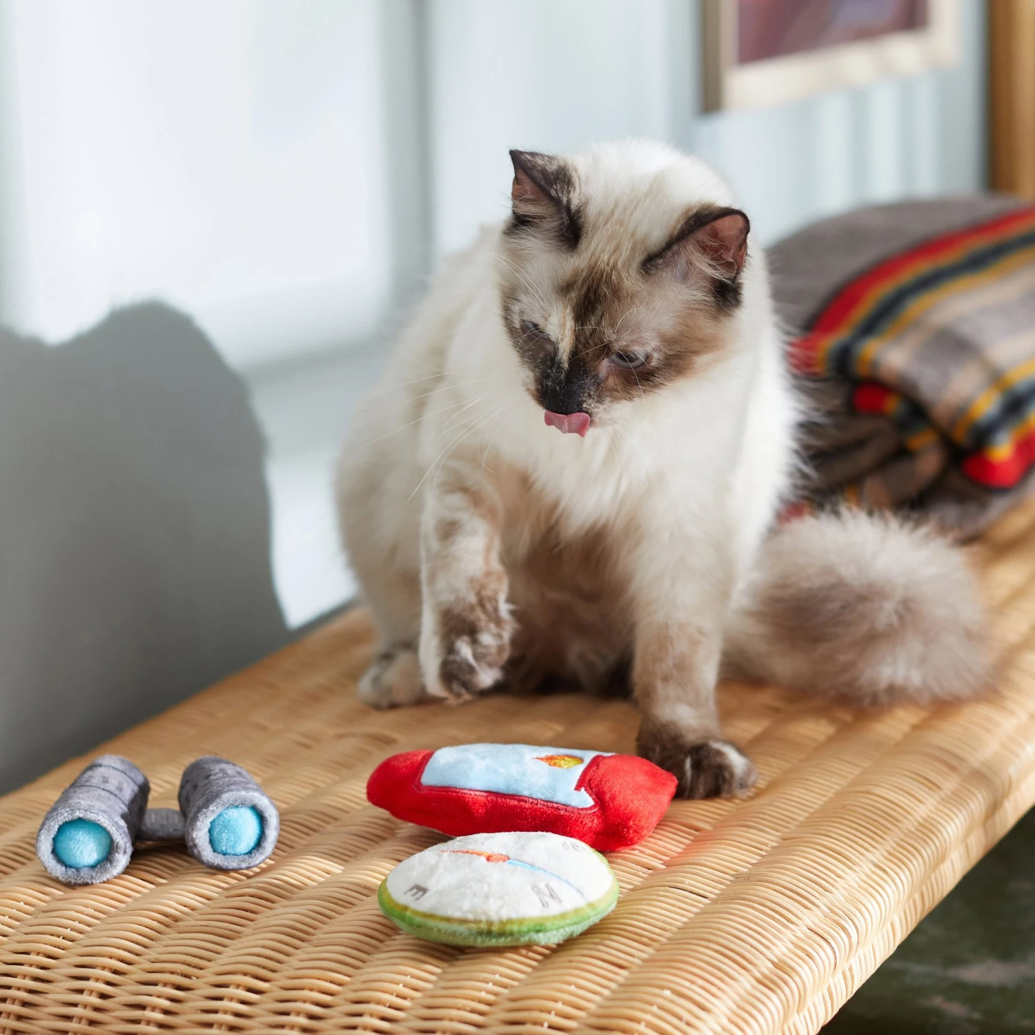 Frisco Camping Compass & Lantern Plush Cat Toy With Catnip, 2 Count 3 Frisco Camping Compass & Lantern Plush Cat Toy With Catnip, 2 Count - Image 3