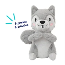 Frisco Camping Squirrel Plush Squeaky Dog Toy -PetPalace Picks 271001 PT2. AC SS1800 V1686579152