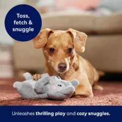 Frisco Camping Squirrel Plush Squeaky Dog Toy -PetPalace Picks 271001 PT5. AC SS1800 V1691785245