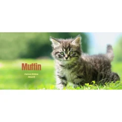 Frisco Basic White Personalized Coffee Mug -PetPalace Picks 271221 PT2. AC SS1800 V1620406326