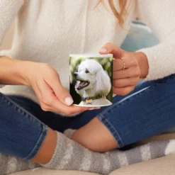 Frisco Basic White Personalized Coffee Mug -PetPalace Picks 271221 PT3. AC SS1800 V1620401532