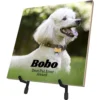 Frisco Personalized Basic Ceramic Photo Tile With Stand