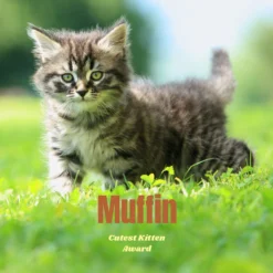 Frisco Personalized Basic Ceramic Photo Tile With Stand -PetPalace Picks 271227 PT2. AC SS1800 V1619198223