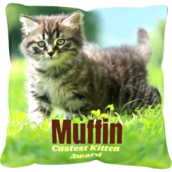 Frisco Personalized Basic Throw Pillow, 16" X 16" 5 Frisco Personalized Basic Throw Pillow, 16" X 16" -PetPalace Picks 271237 PT2. AC SS1800 V1620405726