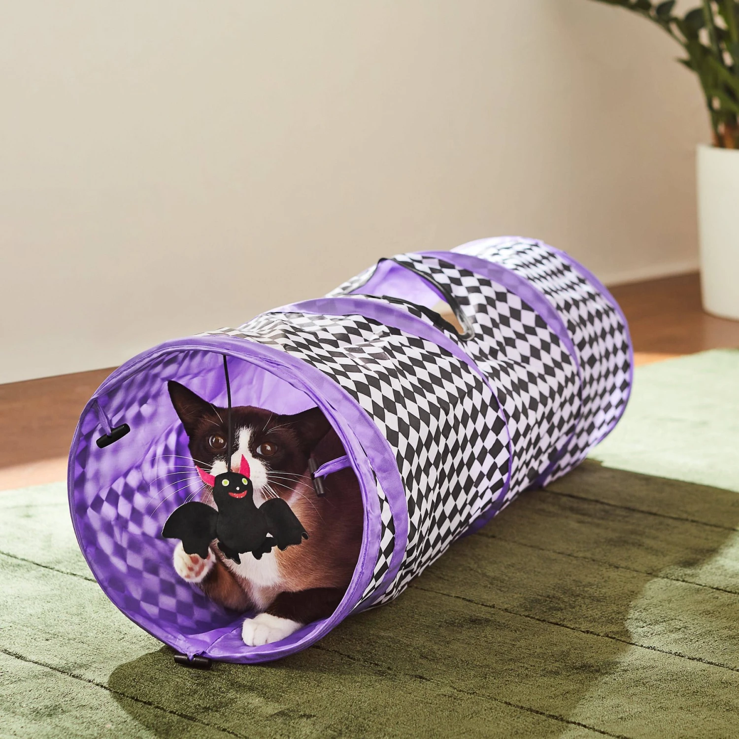 Frisco Halloween Checkered Foldable Play Tunnel Cat Toy With Catnip 1 Frisco Halloween Checkered Foldable Play Tunnel Cat Toy With Catnip