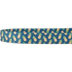 Frisco Pineapple Polyester Personalized Breakaway Cat Collar With Bell -PetPalace Picks 271597 PT3. AC SS1800 V1618937222