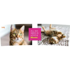 Frisco "Classic" Double Walled Personalized Tumbler. 30-oz -PetPalace Picks 272541 PT2. AC SS1800 V1625686095