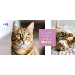 Frisco "Classic" Personalized Mug, 11-oz, White -PetPalace Picks 272545 PT2. AC SS1800 V1625685793