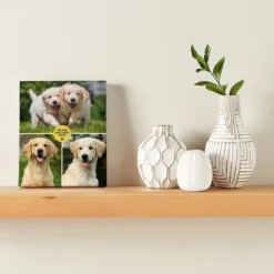 Frisco "Contemporary #1" 8 X 10 Gallery-Wrapped Canvas -PetPalace Picks 272569 PT3. AC SS1800 V1625686284