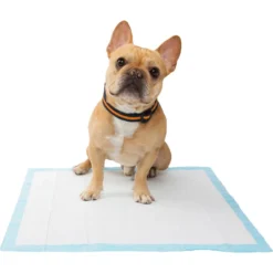 Frisco Premium Dog Training & Potty Pads & Frisco Premium Extra Large Dog Training & Potty Pads -PetPalace Picks 276223 PT4. AC SS1800 V1616193411