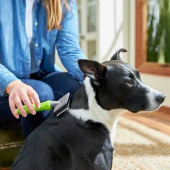 Frisco Soft Slicker Dog Brush, One Size & Frisco Deshedding Dog & Cat Brush -PetPalace Picks 276229 PT3. AC SS1800 V1616194590