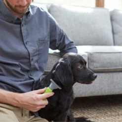 Frisco Soft Slicker Dog Brush, One Size & Frisco Deshedding Dog & Cat Brush -PetPalace Picks 276229 PT6. AC SS1800 V1616191886