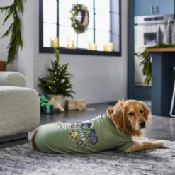 Frisco Joyful Hygge-Inspired Dog & Cat T-shirt -PetPalace Picks 276488 PT5. AC SS1800 V1637666798