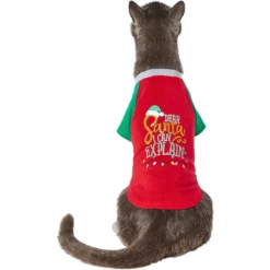 Frisco Santa I Can Explain Dog & Cat T-shirt -PetPalace Picks 276496 PT2. AC SS1800 V1637682452