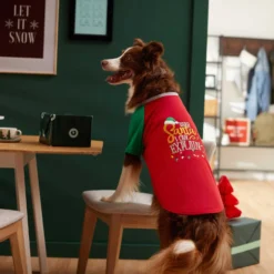 Frisco Santa I Can Explain Dog & Cat T-shirt -PetPalace Picks 276496 PT5. AC SS1800 V1637677020