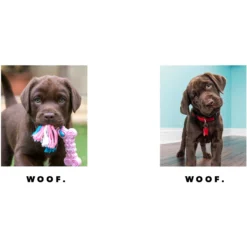 Frisco Minimalistic Woof White Personalized Coffee Mug, 15-oz -PetPalace Picks 277075 PT2. AC SS1800 V1629146832