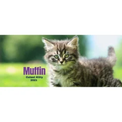 Frisco Classic Photo White Personalized Coffee Mug, 15-oz -PetPalace Picks 277089 PT2. AC SS1800 V1629146469