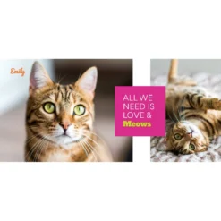 Frisco "Classic #2" Photos White Personalized Coffee Mug -PetPalace Picks 277091 PT2. AC SS1800 V1629147187