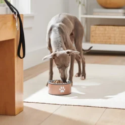 Frisco Paw Print Non-Skid Stainless Steel Dog & Cat Bowl 9 Frisco Paw Print Non-Skid Stainless Steel Dog & Cat Bowl -PetPalace Picks 277546 PT2. AC SS1800 V1630346697