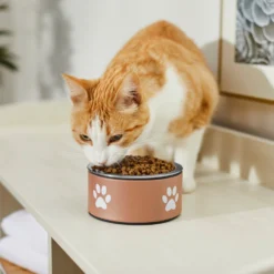 Frisco Paw Print Non-Skid Stainless Steel Dog & Cat Bowl 10 Frisco Paw Print Non-Skid Stainless Steel Dog & Cat Bowl -PetPalace Picks 277546 PT3. AC SS1800 V1630347716