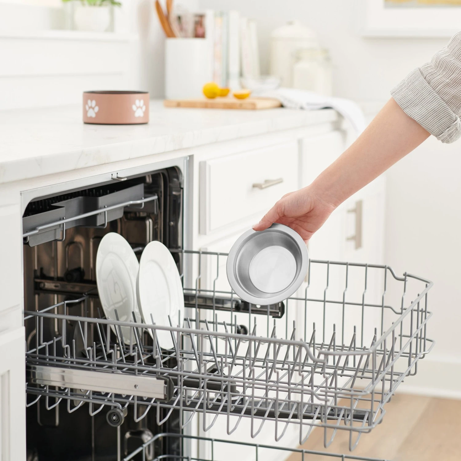 Frisco Paw Print Non-Skid Stainless Steel Dog & Cat Bowl 7 Frisco Paw Print Non-Skid Stainless Steel Dog & Cat Bowl - Image 7
