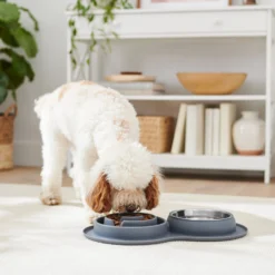 Frisco Silicone Stainless Steel Double Diner Slow Feeder Dog & Cat Bowl, Grey, 3 Cup 7 Frisco Silicone Stainless Steel Double Diner Slow Feeder Dog & Cat Bowl, Grey, 3 Cup -PetPalace Picks 277549 PT2. AC SS1800 V1630346823