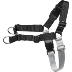 Frisco Basic No Pull Harness