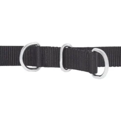 Frisco Basic No Pull Harness -PetPalace Picks 277873 PT2. AC SS1800 V1629760100