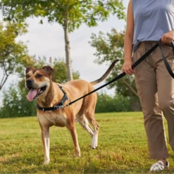 Frisco Basic No Pull Harness -PetPalace Picks 277873 PT4. AC SS1800 V1629816999