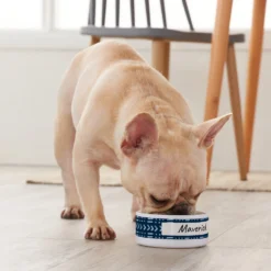 Frisco Personalized Mudcloth Small Dog & Cat Bowl -PetPalace Picks 278936 PT3. AC SS1800 V1629147692