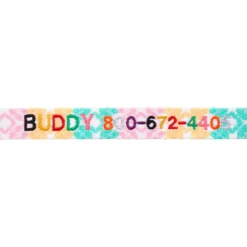 Frisco Pastel Tie Dye Polyester Personalized Dog Collar 7 Frisco Pastel Tie Dye Polyester Personalized Dog Collar -PetPalace Picks 280770 PT2. AC SS1800 V1621540643
