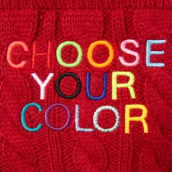 Frisco Personalized Dog & Cat Cable Knitted Sweater -PetPalace Picks 285168 PT5. AC SS1800 V1628217119