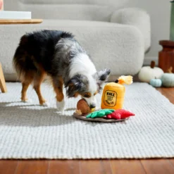 Frisco Fall Festive Candle Charger Plush Squeaky Dog Toy, 4 Count -PetPalace Picks 285615 PT3. AC SS1800 V1629725135