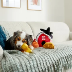 Frisco Fall Farmhouse Hide & Seek Puzzle Plush Squeaky Dog Toy -PetPalace Picks 285629 PT3. AC SS1800 V1629725107