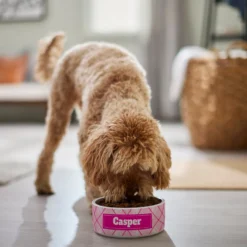 Frisco Personalized Plaid Ceramic Dog Bowl 9 Frisco Personalized Plaid Ceramic Dog Bowl -PetPalace Picks 287013 PT4. AC SS1800 V1639518088