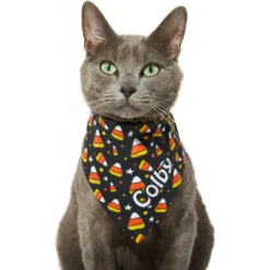 Frisco Candy Corn Personalized Dog & Cat Bandana -PetPalace Picks 287056 PT7. AC SS1800 V1623246828
