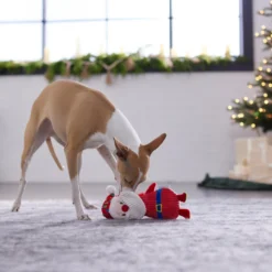 Frisco Holiday Santa & Snowman Reversible Plush Squeaky Dog Toy -PetPalace Picks 287263 PT3. AC SS1800 V1632775712