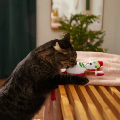 Frisco Naughty Or Nice Snowman Reversible Plush Cat Toy With Catnip -PetPalace Picks 287387 PT3. AC SS1800 V1632774541